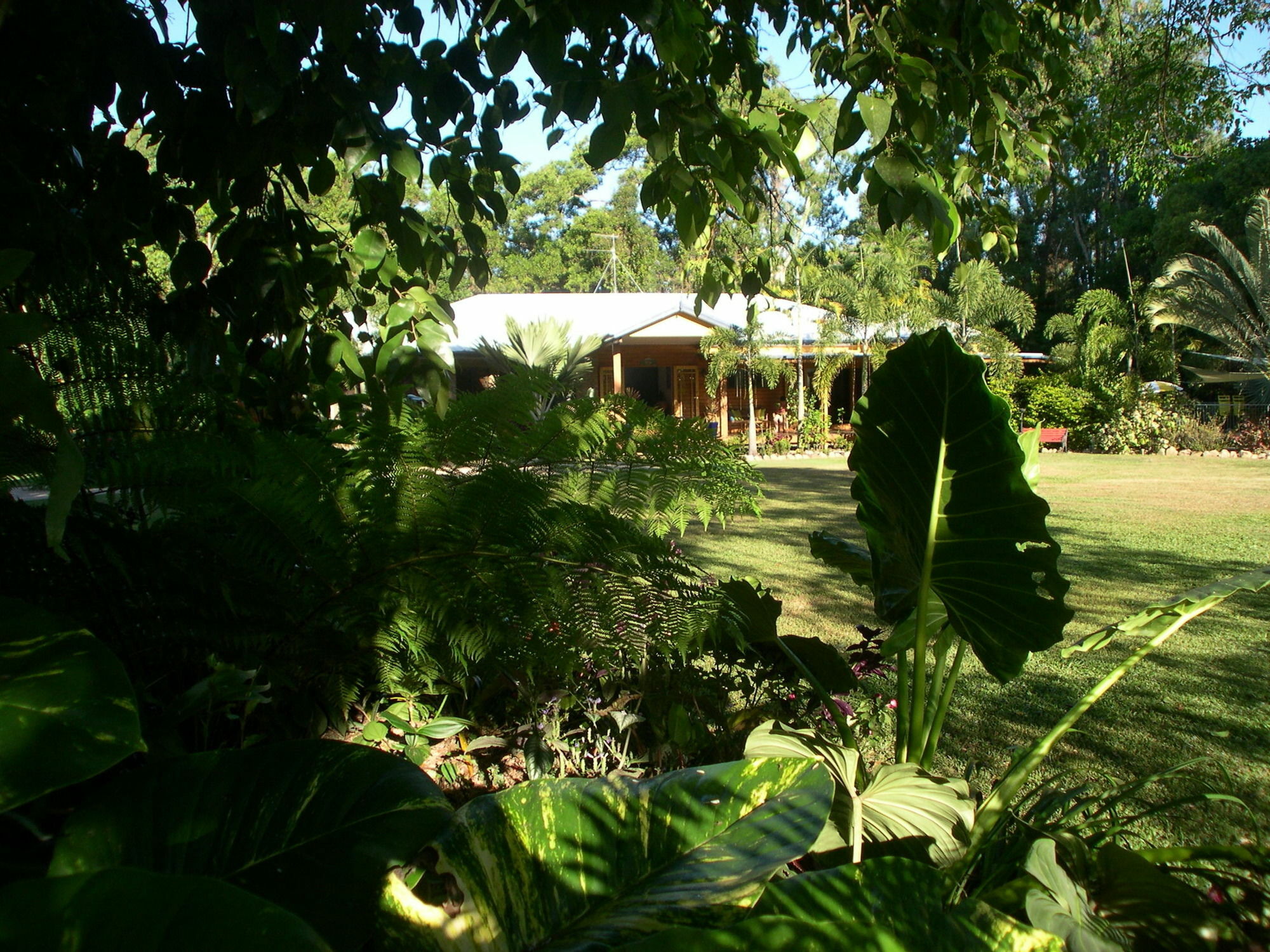 Hibiscus Lodge Bed & Breakfast Wongaling Beach Buitenkant foto